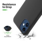 Protection d'écran Verre trempé iPhone 12 Mini - PT05