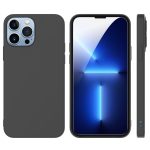 Protection d'écran Verre trempé iPhone 13 Pro Max - PT06